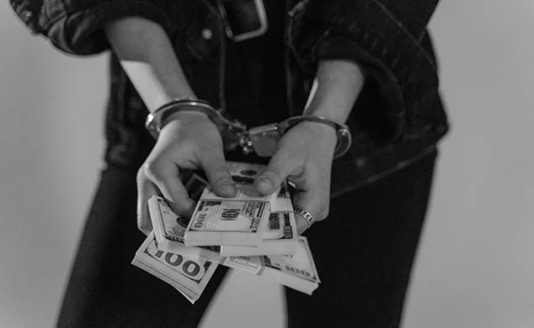 Introduction to Financial Crime in Southern Africa